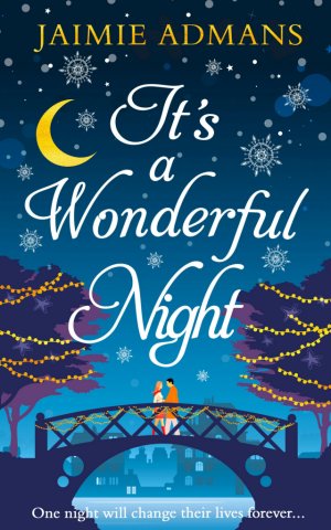 It's a Wonderful Night-small